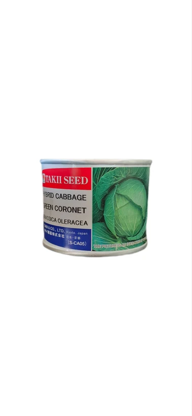 بذر کلم پیچ هیبرید گرین کورنت تاکی | green cornet cabbage F1