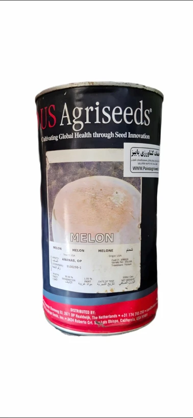 بذر ملون آناناسی یو اس اگرسید | US Agriseeds